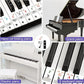 Transparent Piano Keyboard Stickers 49/54/61/88 Key Detachable Music Decal Notes Electronic Piano Piano Spectrum Sticker Symbol