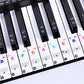 Transparent Piano Keyboard Stickers 49/54/61/88 Key Detachable Music Decal Notes Electronic Piano Piano Spectrum Sticker Symbol