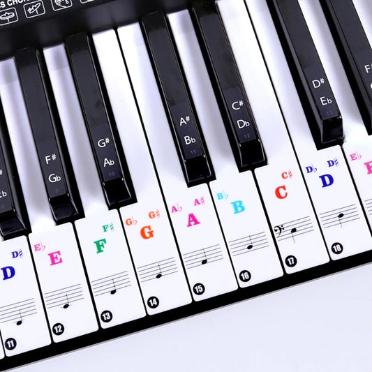 Transparent Piano Keyboard Stickers